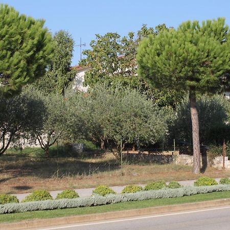 Apartments And Rooms With Parking Space Rovinj - 7170 Εξωτερικό φωτογραφία