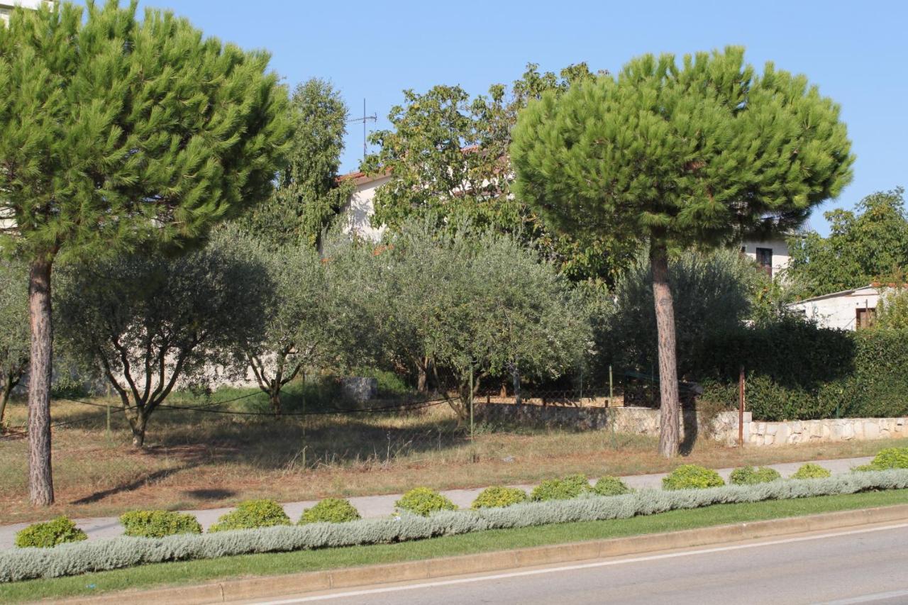Apartments And Rooms With Parking Space Rovinj - 7170 Εξωτερικό φωτογραφία