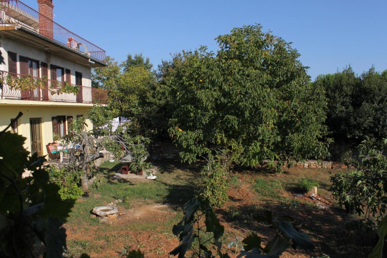 Apartments And Rooms With Parking Space Rovinj - 7170 Εξωτερικό φωτογραφία